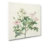 Pompon Roses in Pink by Pierre Joseph Redoute Canvas Print | Gallery Wrapped 30mm Frame Wall Art | 20x20 inches | Ready to Hang | Retro Floral Picture | Living Room Bedroom Lounge Office