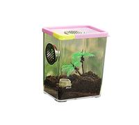 Pomurom Acrylic Reptile Terrarium Cage for Spider, Scorpion, Praying Mantis, Small Snake