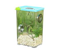 Pomurom Acrylic Reptile Terrarium Cage for Spiders, Scorpions, Praying Mantises, Small Snakes and Other Reptiles