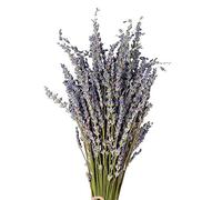 Pomurom Lavender Bunch Dried, Dried Lavender Bouquet, Natural Dried Lavender Dried Flower Bundles, Dried Lavender Stems for Crafts Fireplace Home Centrepieces Wedding Store Wreath Decoration