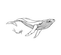 Pomurom Metal Whale Wall Art Decor, Black Sea Animals Whale Abstract Lin-e Wall Sculpture for Living Room Bedroom Shop Cafe Decoration, Housewarming Gift, 40x16.5cm