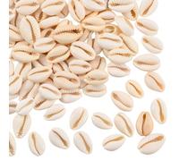 PONABEADIY 1 Box 100PCS 16~18MM Natural Oval Spiral Shell Beads No Hole Summer Cowrie Shells Open Back Ocean Charm Loose Seashell Bead for Jewellery Making Bracelets Beach Party Home Decor DIY Crafts