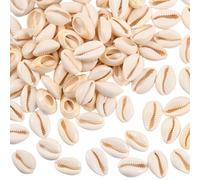 PONABEADIY 1 Box 100PCS Natural Cowrie Shells Beads Summer Hawaii Open Back Spiral Oval Real Shell Ocean Beach Charms Loose Seashell Bead for Jewellery Making Bracelets Necklace Diy Crafts Supply