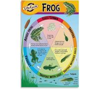 Pond Ecosystem Poster Frog Habitat Biology Wall-Art