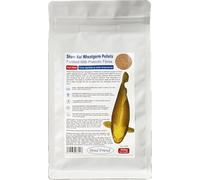 Pond Friend Show Koi Wheatgerm Pellets Autumn Winter & Spring Low Temperature Food 6mm 500g With Prebiotics To Aid Digestion & Immune System Increase Probiotic Bacteria Gut Health