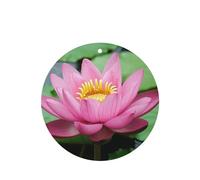 Pond Lotus Car Air Freshener - Hanging Car Fragrance Diffuser with Durable Scent for Cars, Homes & More, 4-piece set