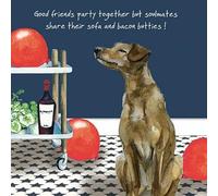 Pondenco Dog Birthday Card
