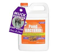 PondWorx Pond Bacteria - Formulated For Large Ponds, Water Features And Safe For Koi - Orange 1 Gallon