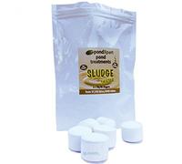 PondXpert Sludge Shifter 6 Tablets Pond Water Treatment Bacteria Koi Fish Odours