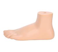 Pongnas Foot Model, Human Muscle Model Human Foot Skeletal Adults Lifesize Teaching Research Muscle Display Explain Accessories (Normal foot)