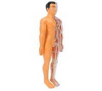 Pongnas Human Body Model, Removable 7 Organs 19 Bones Kit with Glow in The Dark Skeleton, STEM Educational Science Toy for Kids Students