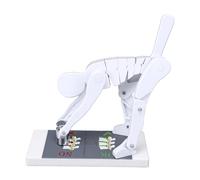 Pongnas Weight Lifting Spine Model with Flexible Body Bending Posture Demonstration Model for Teaching Biomechanics