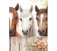 Ponies at the Fence Hardcover Journal: 8.25” x 11” | 300 Lined Pages | Glossy Cover