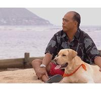 Pono Actor Dog