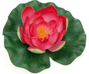 Pontec PondoLily orange - red