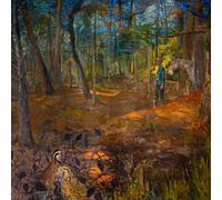 Pony Bradshaw - Thus Spoke The Fool