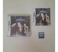 Pony Friends (Nintendo DS)