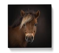 Pony Photograph Canvas Print | Gallery Wrapped 30mm Frame Wall Art | 20x20 inches | Ready to Hang | Modern Animal Picture | Living Room Bedroom Lounge Office