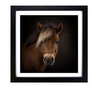 Pony Photograph Framed Print | 18x18 Inch Black Framed Wall Art | Ready to Hang | Modern Nature Picture | Living Room Bedroom Lounge Office