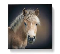 Pony Photograph No.1 Canvas Print | Gallery Wrapped 30mm Frame Wall Art | 20x20 inches | Ready to Hang | Modern Animal Picture | Living Room Bedroom Lounge Office