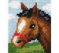 Pony Tapestry Kit