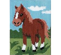 Pony Tapestry KIt with Cottons 20 x 25cm
