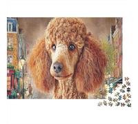 Poodle 1000 Piece Recycled Cardboard Apricot Poodle Close-Up Jigsaw for Adults Anxiety Reducer Relaxation Wall Decoration Great Gift Ideas for Puzzle Lovers 52x38cm/1000pcs