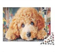 Poodle 1000 Piece Recycled Cardboard Apricot Poodle Close-Up Jigsaw Puzzle for Adults Educational Game Decompression Wall Decoration Great Gift Idea for Women Men Birthday 52x38cm/1000pcs