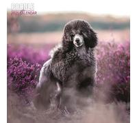 Poodle 2025 Traditional Calendar