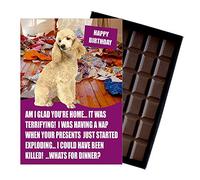 Poodle Birthday Boxed Chocolate Gift Silly Present Card for Dog Lovers Funny 100 Gram Belgian Milk Chocolate Greeting Bar Not a Dog Treat Human Consumption Only