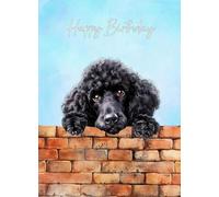 Poodle Black Dog Art Birthday Card