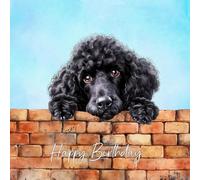 Poodle Black Dog Art Square Birthday Card