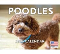 Poodle Calendar 2026 Wall Monthly