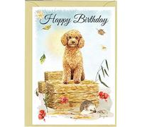 Poodle Dog Apricot - Birthday Card - Straw Bale