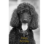 Poodle Dog Birthday Card