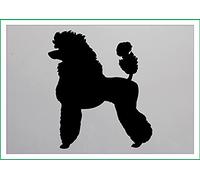 Poodle - Dog - Full A4 190 Micron Reusable Flexible Mylar Stencil