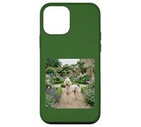 Poodle Garden Path Floral Cottage Bloom Scene Case for iPhone 12 mini