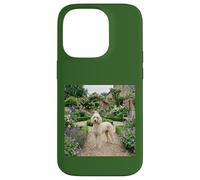 Poodle Garden Path Floral Cottage Bloom Scene Case for iPhone 14 Pro