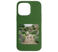 Poodle Garden Path Floral Cottage Bloom Scene Case for iPhone 14 Pro Max
