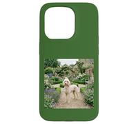 Poodle Garden Path Floral Cottage Bloom Scene Case for iPhone 15 Pro