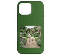 Poodle Garden Path Floral Cottage Bloom Scene Case for iPhone 16 Pro Max