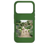 Poodle Garden Path Floral Cottage Bloom Scene Case for iPhone 17 Pro