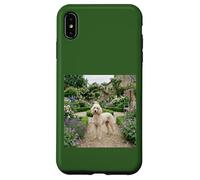 Poodle Garden Path Floral Cottage Bloom Scene Case for iPhone XS Max