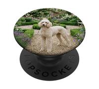 Poodle Garden Path Floral Cottage Bloom Scene PopSockets Adhesive PopGrip