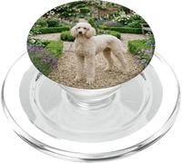 Poodle Garden Path Floral Cottage Bloom Scene PopSockets PopGrip for MagSafe