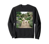 Poodle Garden Path Floral Cottage Bloom Scene Sweatshirt