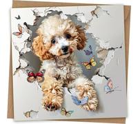 Poodle Greeting Card - Funny Dog Face Greeting birthday Card with Kraft Envelope