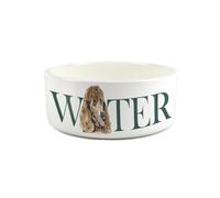 Poodle Pet Bowl - Painted Dog Portrait by Rhianon Chauncey - Large Ceramic Dog Water Bowl/Dish Gift for Dogs