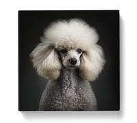 Poodle Photograph Canvas Print | Gallery Wrapped 30mm Frame Wall Art | 20x20 inches | Ready to Hang | Modern Picture | Living Room Bedroom Lounge Office