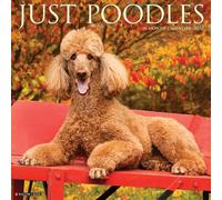 Poodles 2026 12" x 12" Wall Calendar